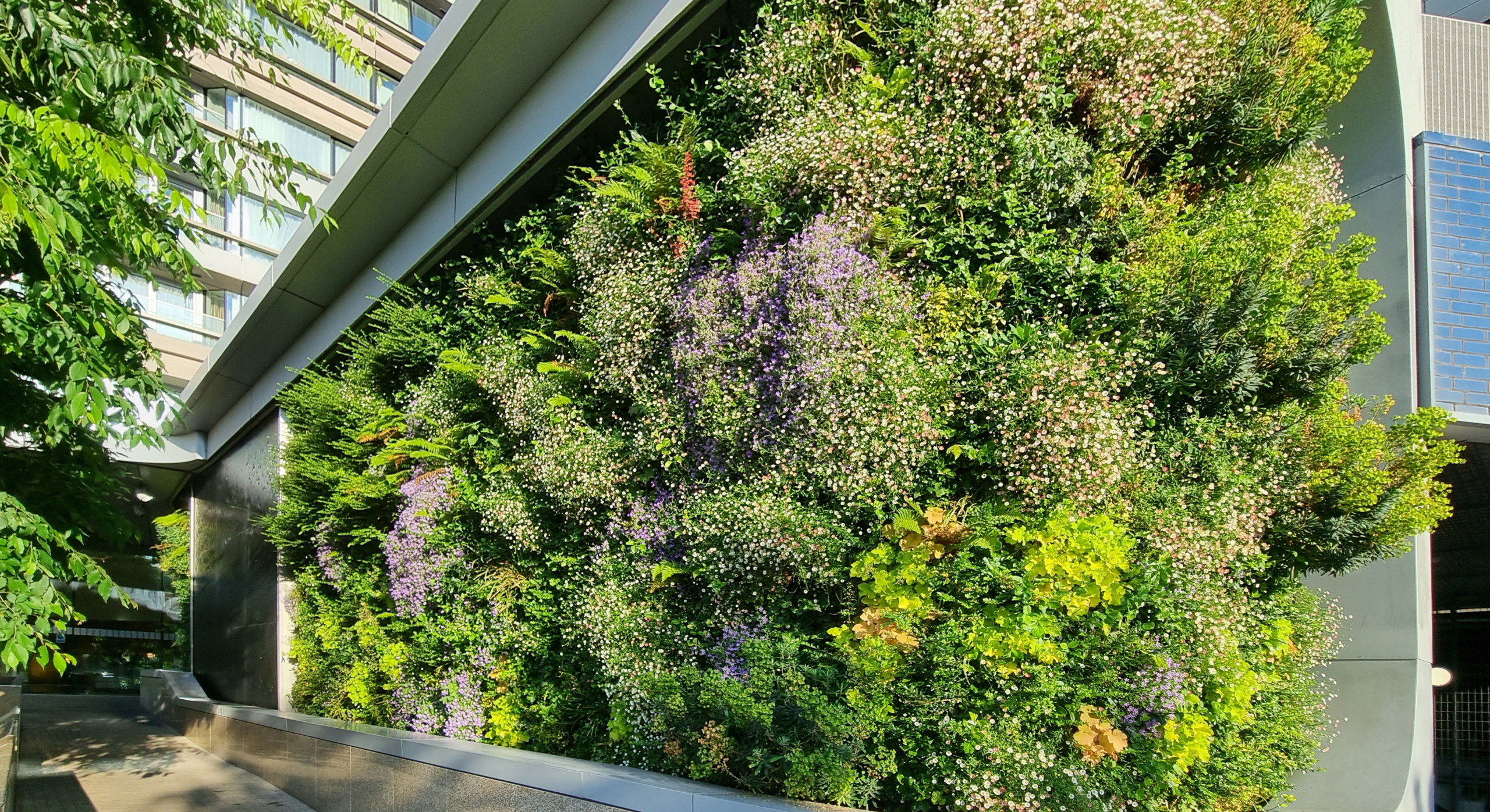 Biotecture City Road Living Walls