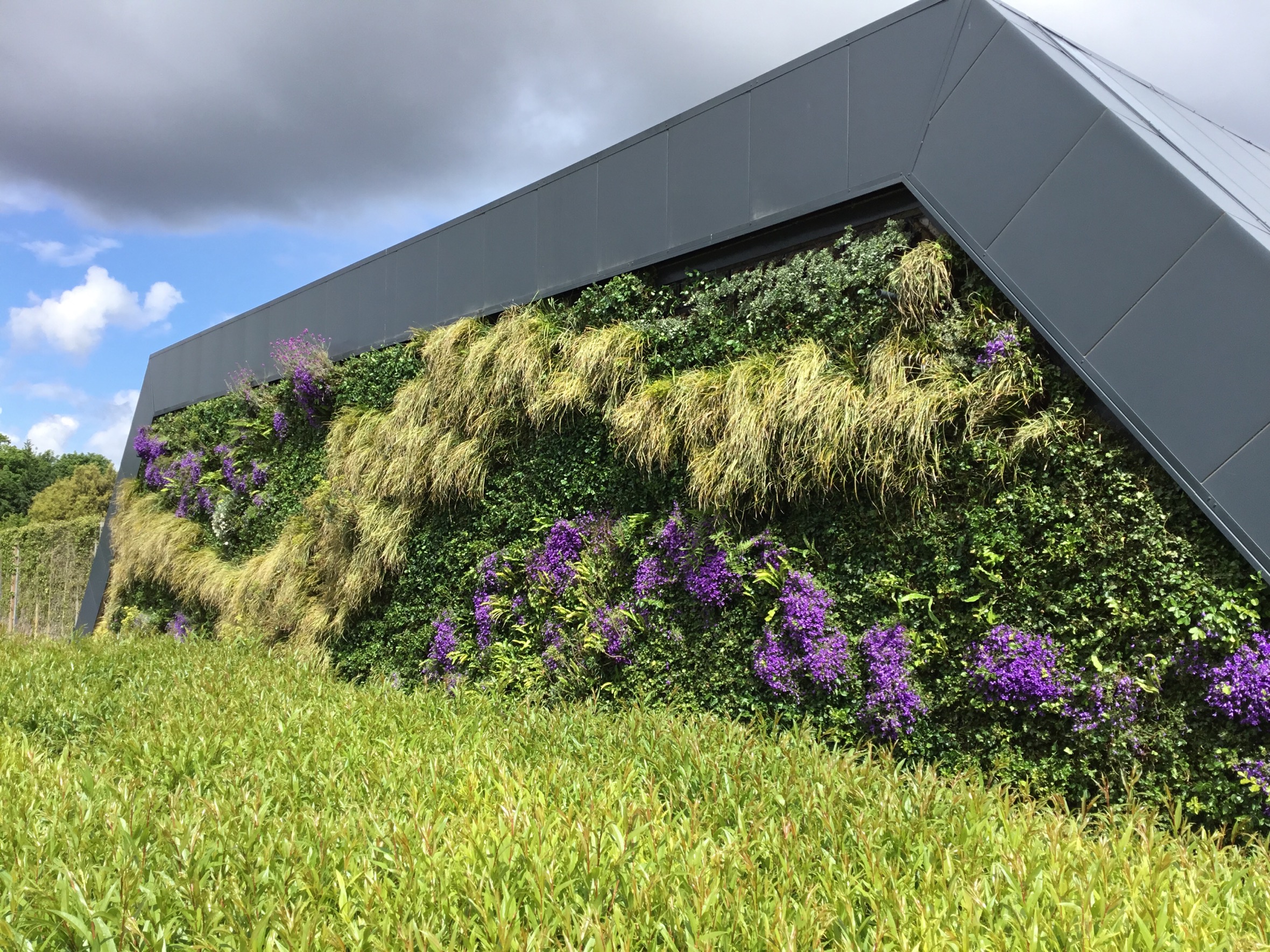 Biotecture Met Office Living Wall May 2022