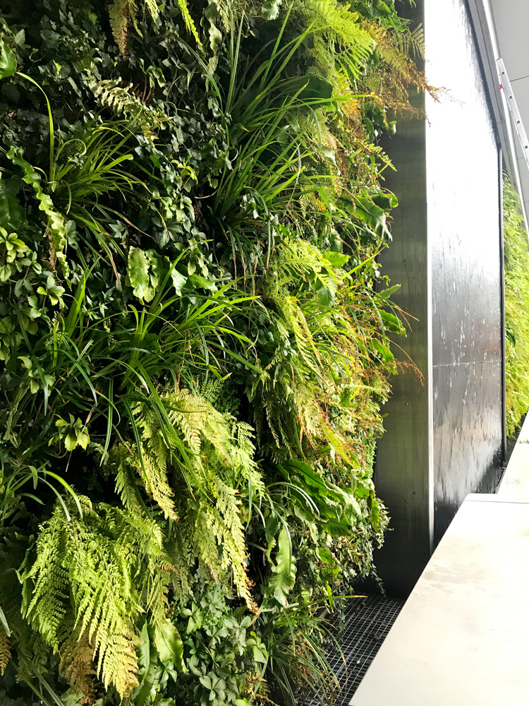 Residential Green Wall that refects the city garden concept | City Road