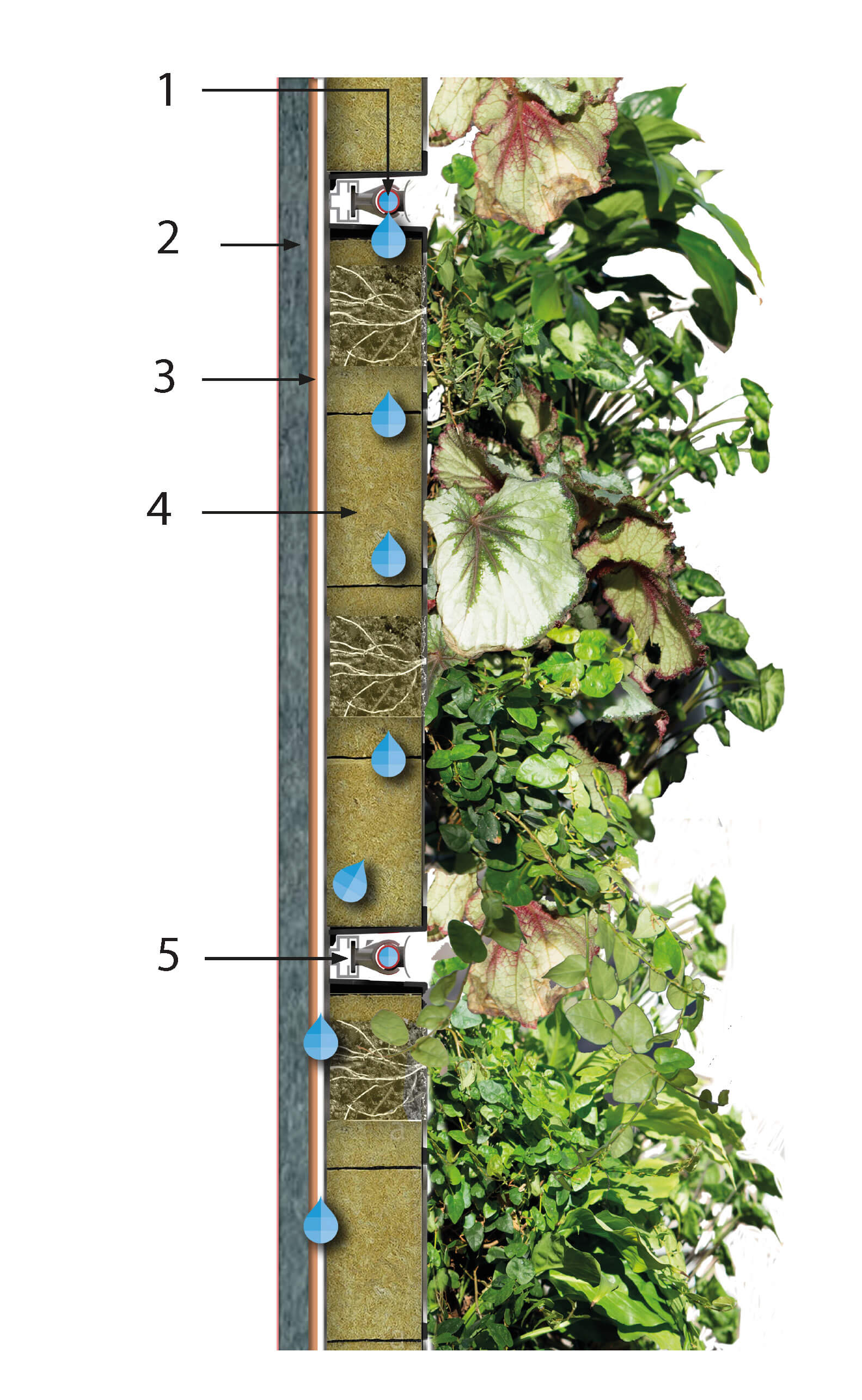 Green Wall Section Detail Dwg - Image to u